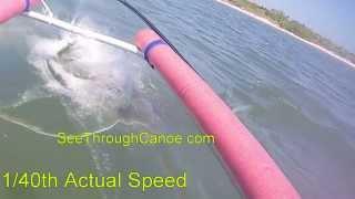 Bull Shark Attack Seen From a Clear Kayak