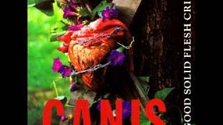 Canis - Womb of the World