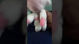 Quyy