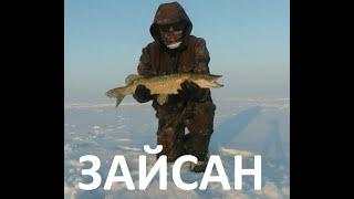 Зайсан.Рыбалка в Казахстане.Отличная рыбалка.14-15 марта 2020г. Fishing in Kazakhstan