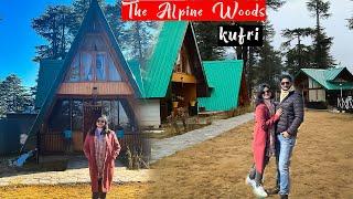 Best place to stay in Kufri | Resorts in Kufri | Alpine woods Kufri | wooden cottage in Shimla