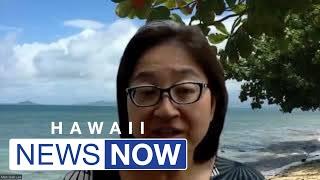 Hawaii study finds alarming increase in microplastics in placentas