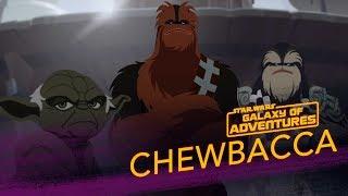 Chewbacca - Wookiee Warrior  | Star Wars Galaxy of Adventures