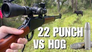 Invasive Hog Hunting with .22 LR Federal Punch