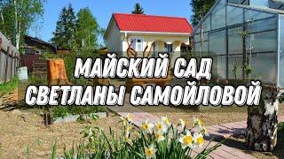 Майский Сад На Новом Участке | ОБЗОР САДА в начале лета