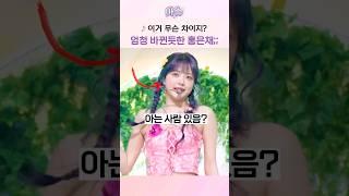 이거 무슨 차이지? 엄청 바뀐듯한 홍은채;;