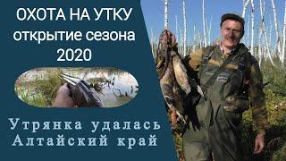 Охота на утку / Открытие охоты 2020 / Утрянка удалась / Алтайский край