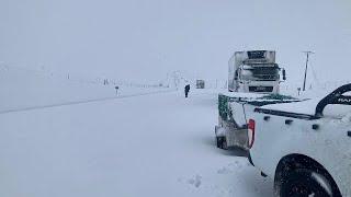 Snow causes havoc on South African one person reported to have died and animals dying of heavy snow