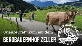 Urlaubspraktikum beim Bergbauern im Allgäu