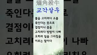 유익한 한줄기 고사성어 교각살우