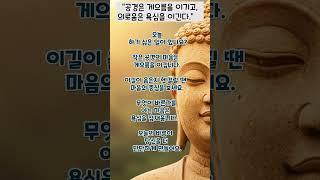 #지혜의길 #부처님말씀 #명상 #마음의평화 #지혜의길 #명언 #마음의소리로쓰는글