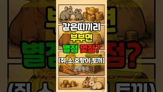같은 띠끼리 결혼하면 잘 살까? 쥐~토끼띠 부부궁합 별점 공개!