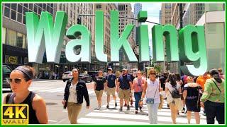 4k WALK Slow TV & REALITY DOCUMENTARY 4k Video TRAVEL VLOG