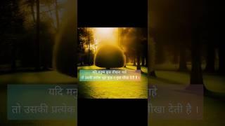 Motivational Quotes 22/04/2023 #viral #youtubeshorts #shorts
