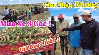 Công Giáp || Quyết Định Táo Bạo ? Chi Số Tiền Lớn Để Phát Triển Bền Vững?? Liệu Có Xứng Đáng ???