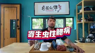 养鱼干货分享#养鱼经验分享 #锦鲤