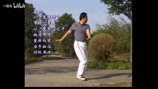 馬勝利老師 心意六合拳真傳實戰教程 #心意六合拳 #martialarts #kungfu