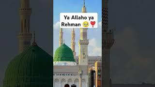 Ya Allaho ya Rehman ️#trending  #muhammad #madina #viralvideos #shorts #freepalestine