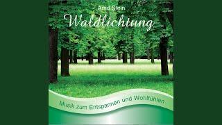 Waldlichtung