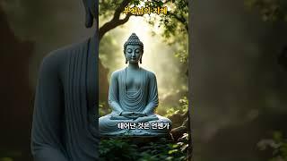 부처님의 지혜의 말씀2 #부처 #불경 #석가모니