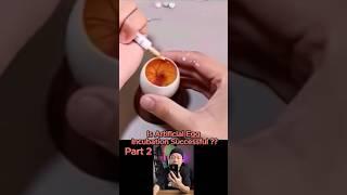 Part 2 : Is artificial egg incubation successful? #dthacks92 #lifehacks #tips #hack #hacks #egg