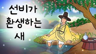 #240 선비가 환생하는 새 ( 포천 어느 마을에 의문의 역병이 퍼졌다. 그런데 이 병이 어떤 새 때문이라고? ) 민담, 설화, 지혜이야기,옛날이야기, 달빛 이야기 극장, 인기동화