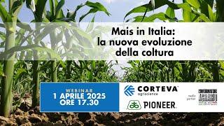 Mais in Italia: la nuova evoluzione della coltura - Genetica, Diserbo, Biostimolazione