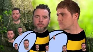 Bees | The Exploding Heads