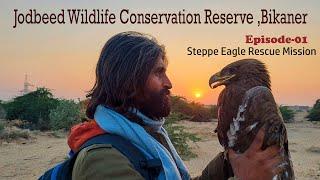 #jodbeed #wildlife ,#bikaner #AllThatBreathes  Episode -01 | Steppe #eagle  Rescue #rajasthan