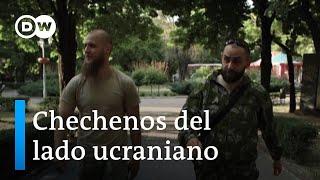 ¿Quiénes son los chechenos que combaten del lado ucraniano?