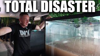 My MONSTER planted aquarium ended in total DISASTER! The king of DIY fish tank 700 gallon