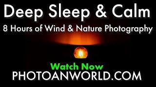 8 Hours Deep Sleep Wind Sounds & Nature Photography: Relaxing Wind Ambience for Rest & Focus