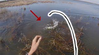 Fishing Shallow Water For BIG Bass!! ft  Robert Field