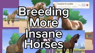 BREEDING MORE INSANE HORSES!!!! *equestrian the game*