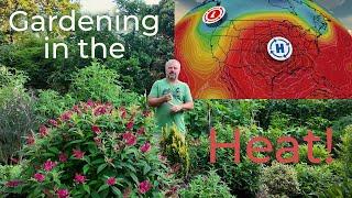 Essential Garden Tips for Hot Weather