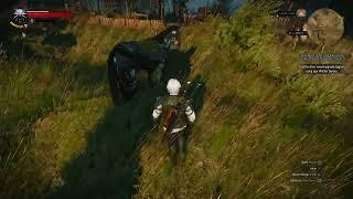 The glitched horse  | The Witcher 3: Wild Hunt Next-Gen