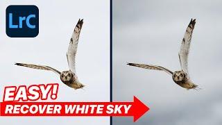 EASY TRICK to Fix WHITE SKIES in Lightroom Classic