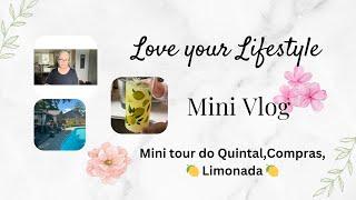 Vlog~Mini tour do quintal ~Compras~ Limonada 