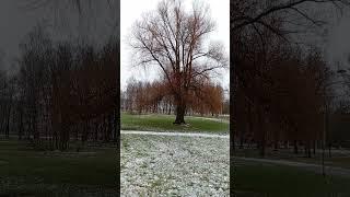 Как испортить себе жизнь? #мудростьмысли #фразысосмыслом #жодино #природа