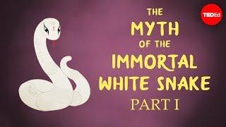 The Chinese myth of the immortal white snake - Shunan Teng