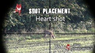 Heart-shot reaction .308 win Roe deer hunting