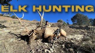 ELK HUNTING 3 BULLS 3 DAYS | A Late Season Rifle Hunt