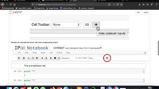 How to Hide all the code cells in Jupyter Notebook Python with single Click