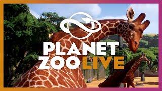Let's Start A Franchise Zoo! | Planet Zoo Live Archive