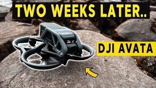 DJI AVATA FPV | SHOULD YOU BUY IT?