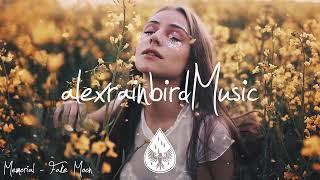 Indie-Indie-Folk Compilation - Spring 2022  (2-Hour Playlist)