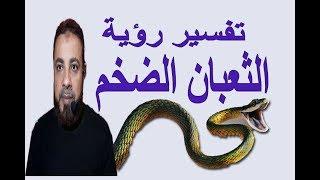 تفسير رؤية حلم الثعبان الضخم للمتزوج والمتزوجة والحامل والعزباء / اسماعيل الجعبيري