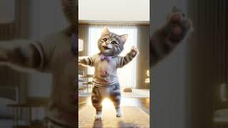 #cat dance #춤추는 고양이13