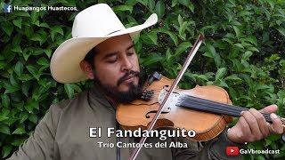 Solo de Violín por los Cantores del Alba (Huapango "El Fandanguito")