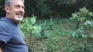 verger et forêt comestible dans les Pyrénées